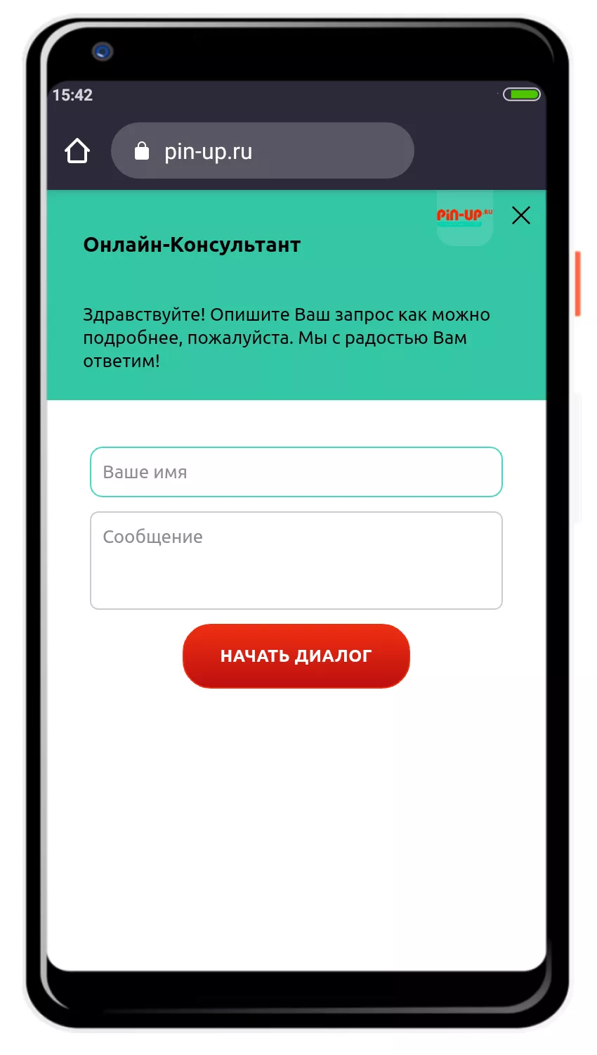 Букмекерская контора Pin Up Bet — как установить? | GipsyTeam.Ru